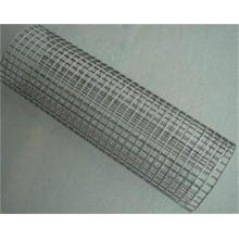 The High Quality Galvanized/ PVC Coated Welded Wire Mesh